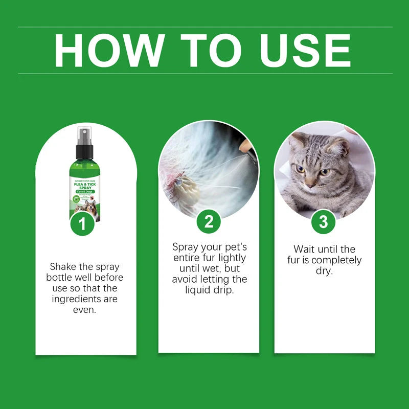 Plant Based Anti-Fungal Spray