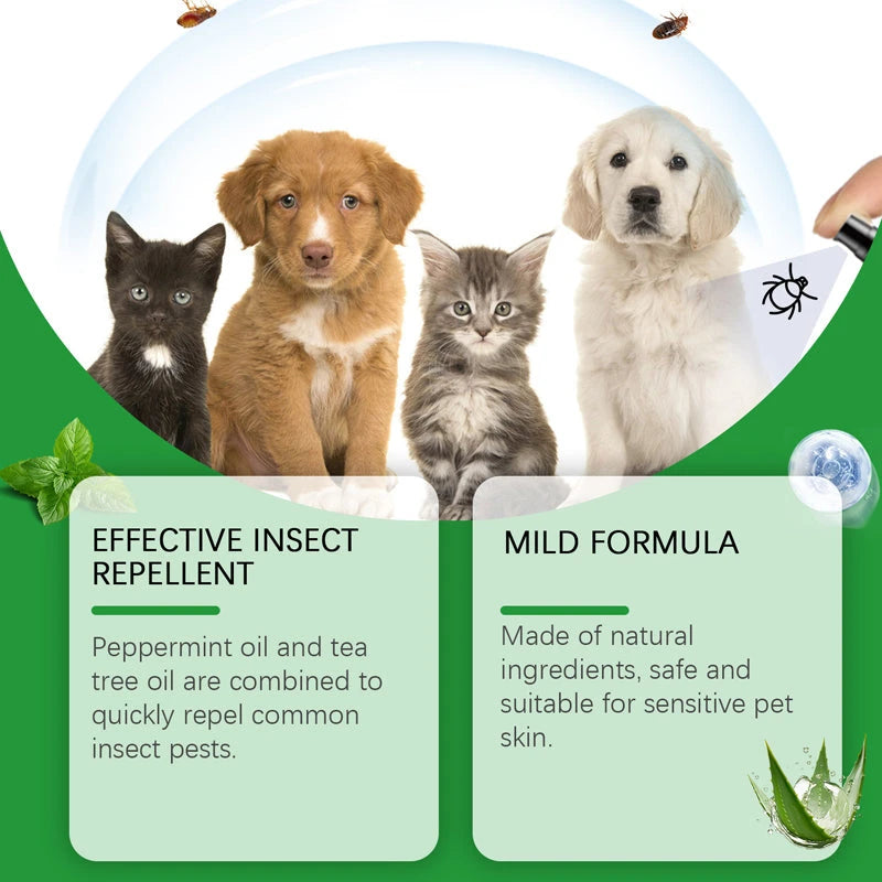 Plant Based Anti-Fungal Spray