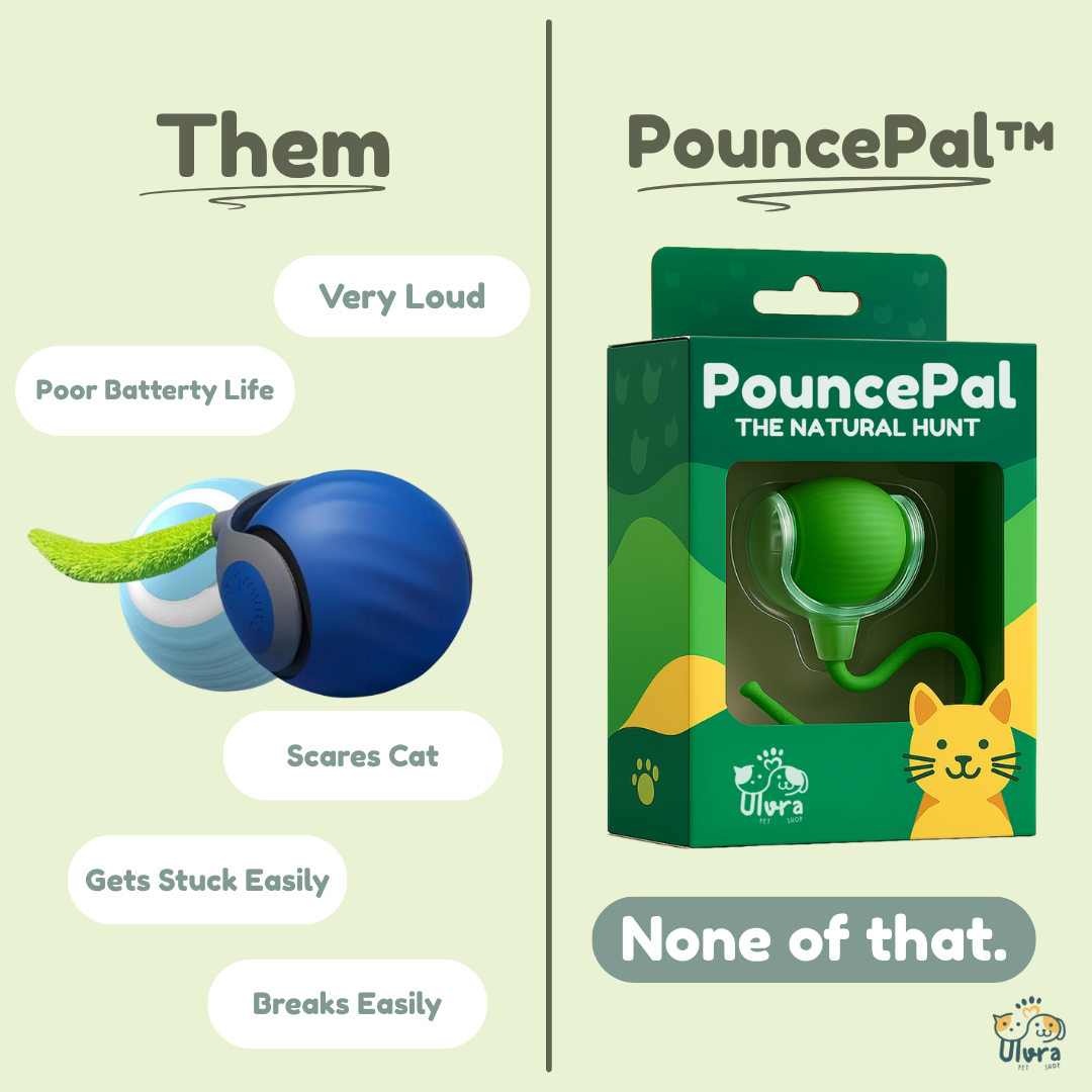 PouncePal Cat Toy