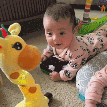 Giraffe Musical Buddy