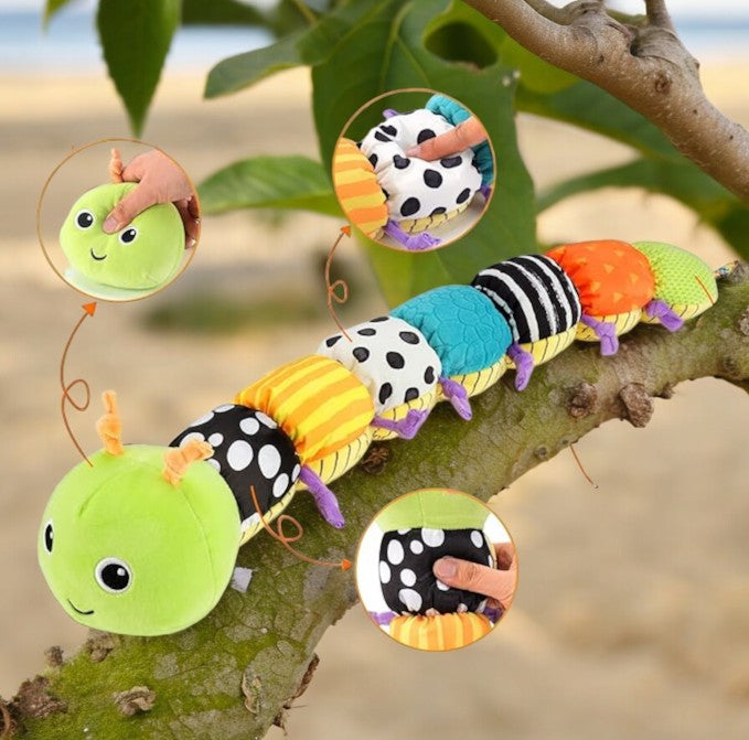 Musical Caterpillar Plush Toy