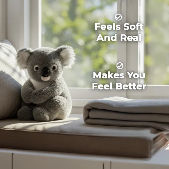 The Koaly – Emotional Healing on Demand